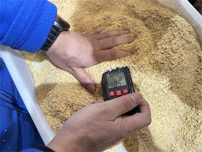 在麥麩的眾多加工方式中，微波技術發揮了哪些優勢呢？