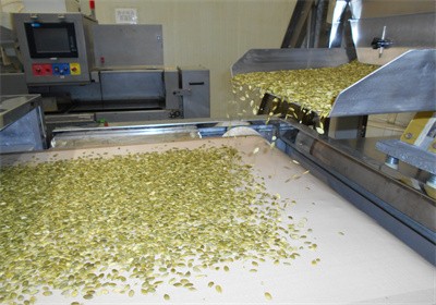 微波技術的出現 為瓜子仁加工帶來了哪些改變