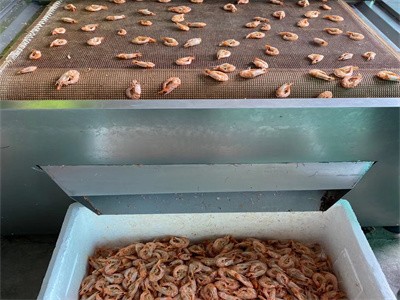 The principle of microwave grilling shrimp
