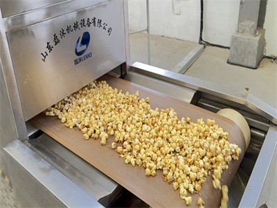 在爆米花烘干加工中 微波烘干和電加熱烘干兩種方式的區(qū)別