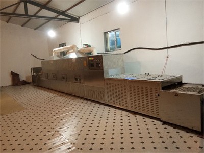 Sunflower seed microwave baking machine